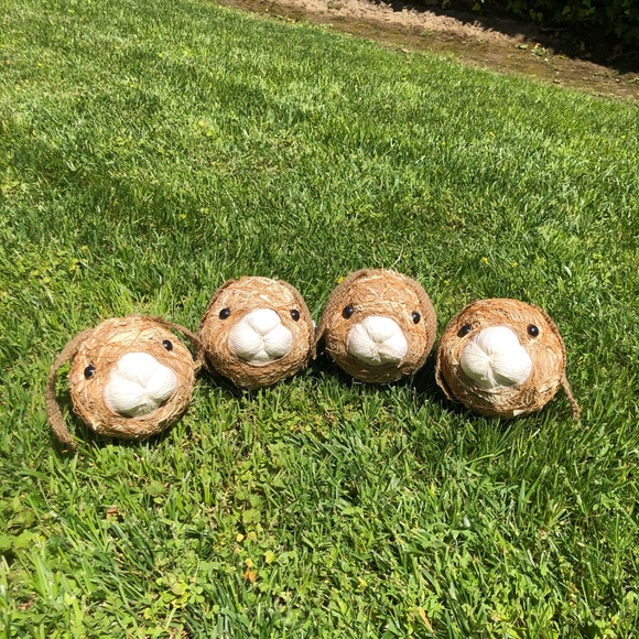 NWT Pier 1 Imports Decorative Natural Vase Filler - Picture 11 of 13